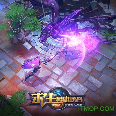 求生英雄峡谷九游版