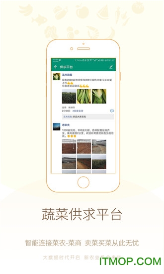 真甜农服免费版