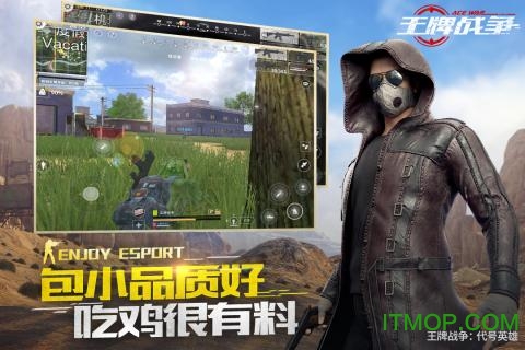 王牌战争果盘版