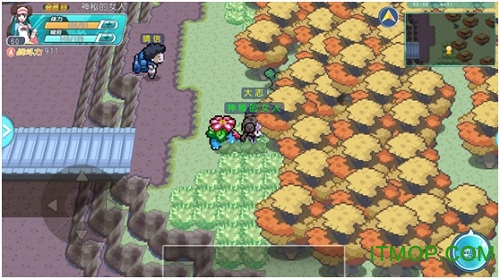 萌宠大作战九游版