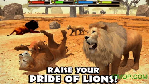 终极狮子模拟中文版