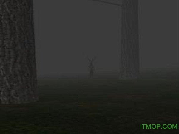 困于森林官方版