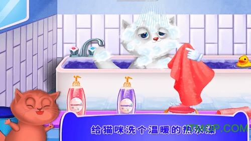 宝宝照顾小猫咪 照顾小猫咪游戏