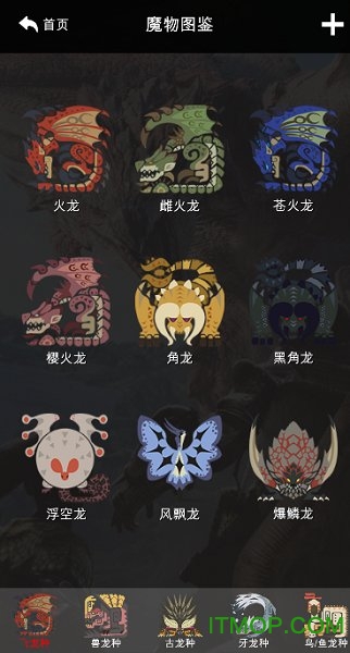 怪物猎人世界攻略app