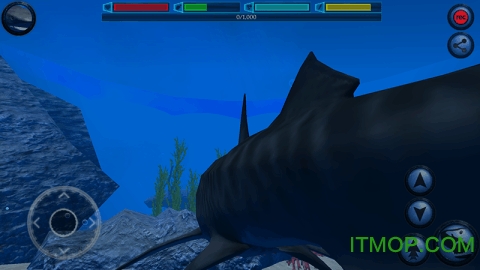 究极鲨鱼模拟无限生命版