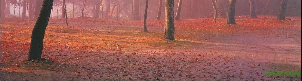 macromedia flash mx 2004中文版