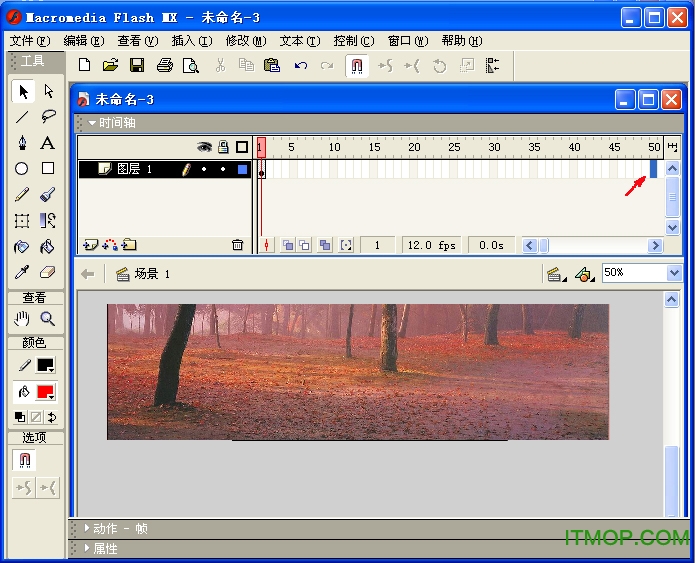 macromedia flash mx 2004中文版