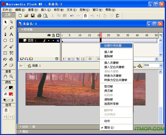 macromedia flash mx 2004中文版