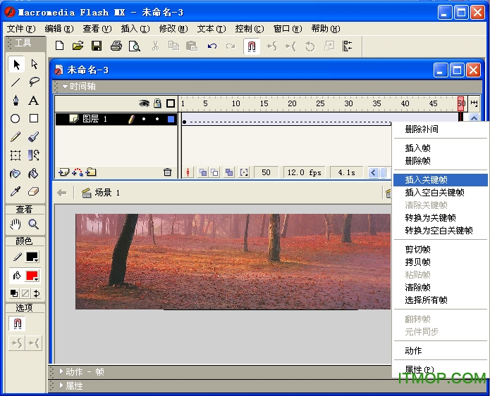 macromedia flash mx 2004中文版