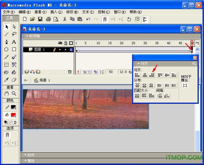 macromedia flash mx 2004中文版