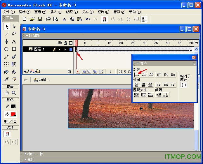 macromedia flash mx 2004中文版