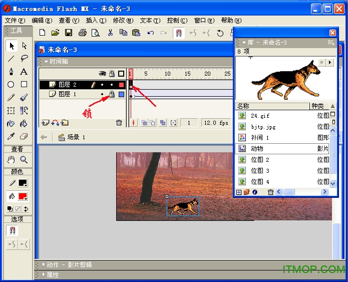 macromedia flash mx 2004中文版