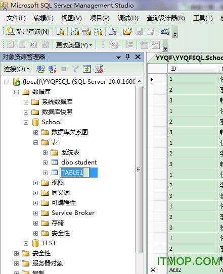 sql server 2008中文精简版 sql 2008精简版