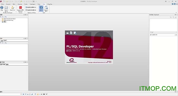 plsql developer12汉化包