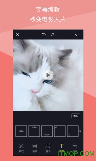 视频拼接王app下载