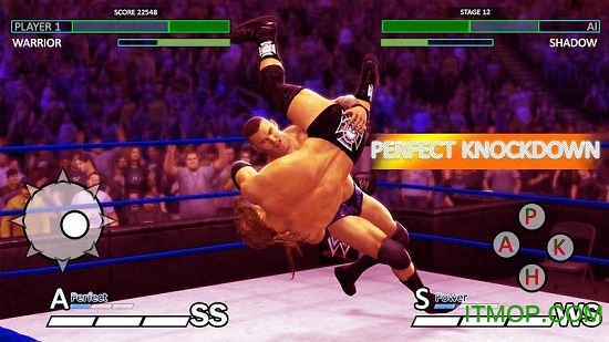 摔跤大联盟职业对抗赛下载