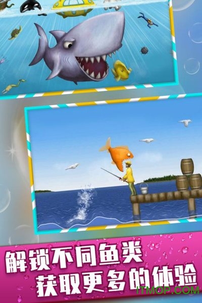 美味深蓝鲨鱼版下载