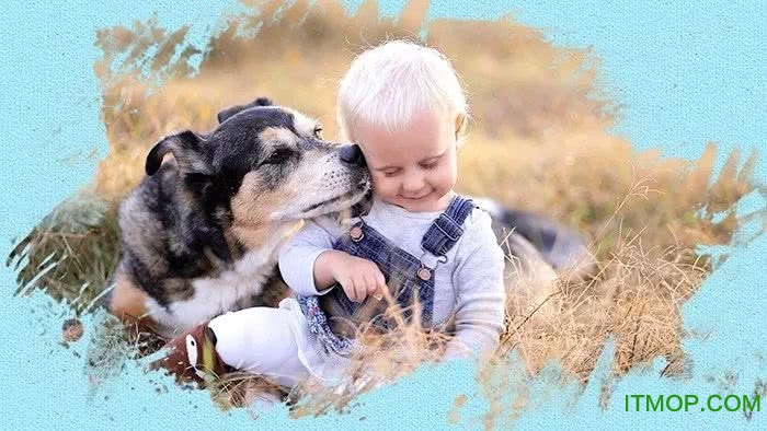 Adobe Photoshop CC 2020