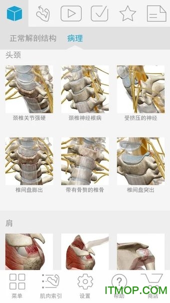 Muscle Premium肌肉骨骼 Muscle Premium肌肉骨骼app