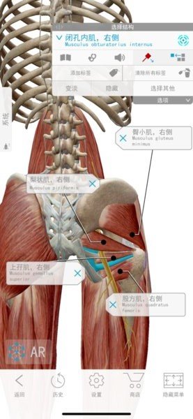2020人体解剖学图谱ios版