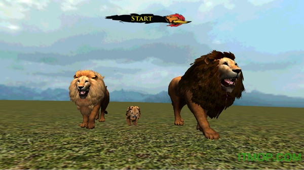 小狮子模拟器游戏下载