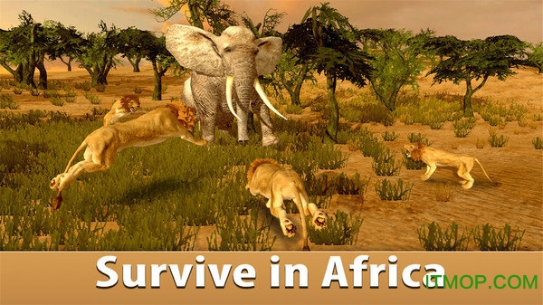 非洲大象模拟器中文版