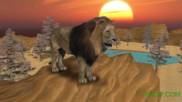 野生狮子模拟器破解版