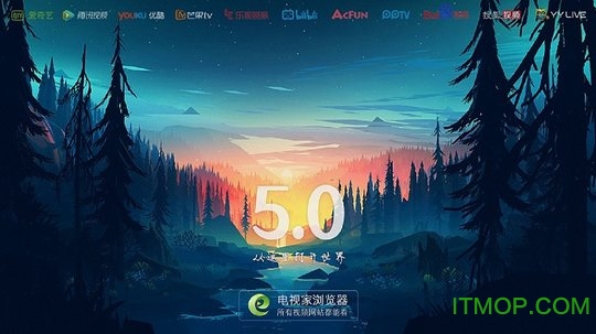 电视家浏览器TV版