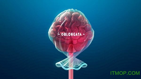 化为灰烬游戏中文版