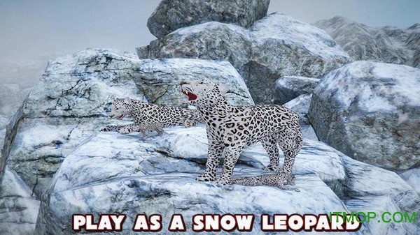 愤怒的豹子模拟器游戏