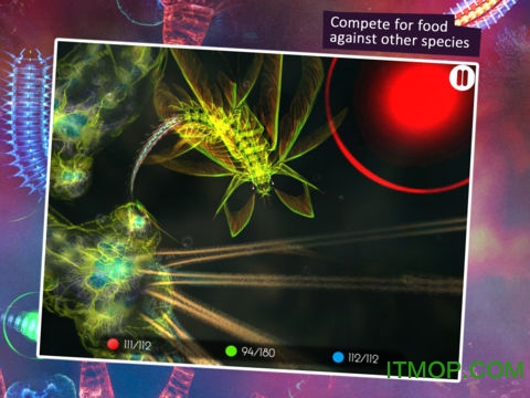 深海变形虫2中文版