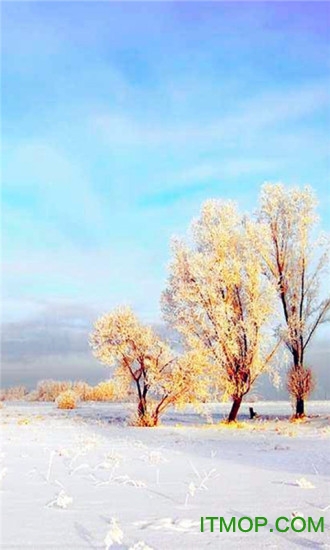 冬季仙境动态壁纸app