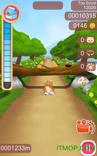 可爱宠物狗狗手游