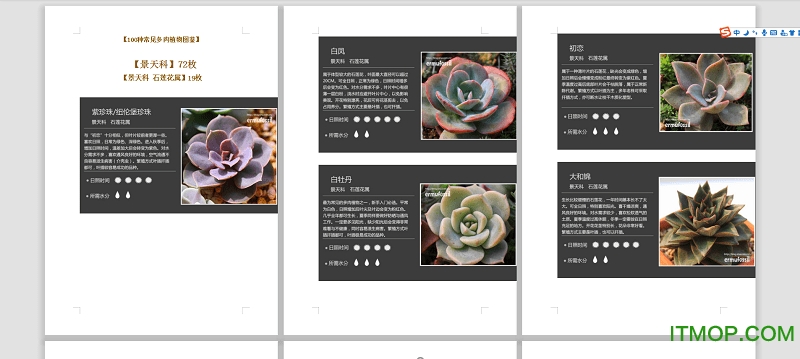 100种常见多肉植物图鉴大全