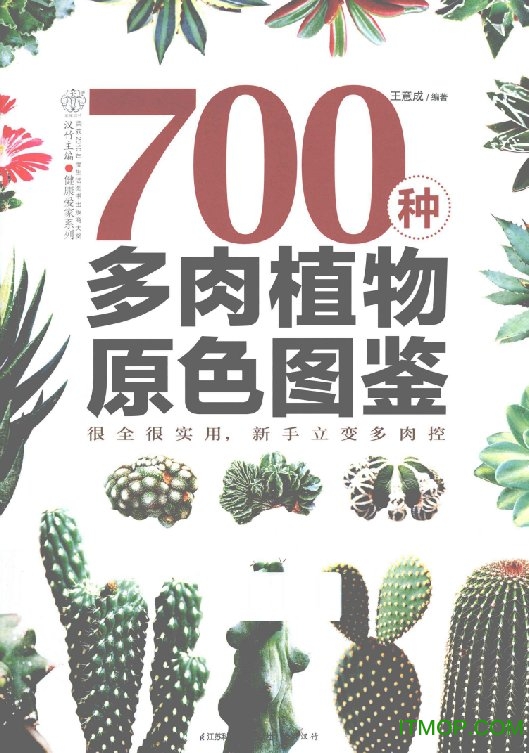 700种多肉植物原色图鉴pdf