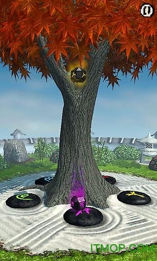 禅修正式版 禅修正式版