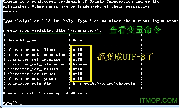mysql数据库绿色版 mysql数据库绿色版
