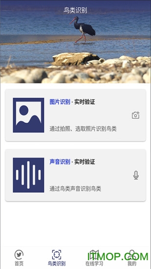 图音识鸟app