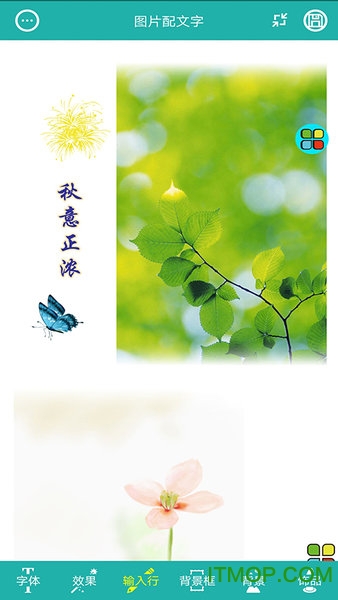 图片文字长图相册下载