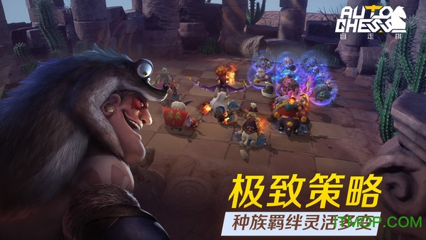 多多自走棋正版游戏