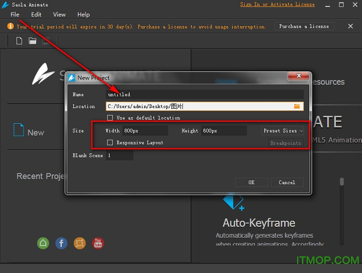 Saola Animate汉化版