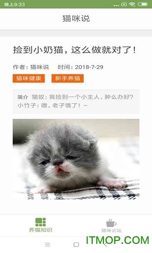 猫咪生活圈app下载