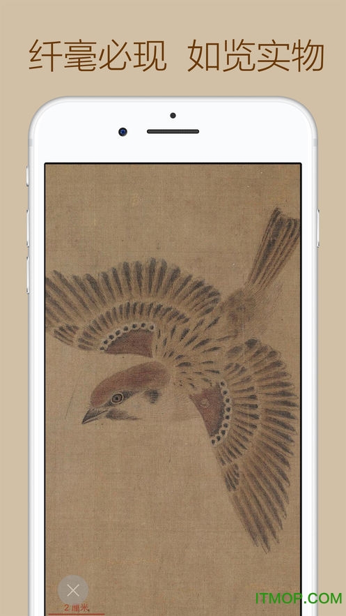 中华珍宝馆app最新版app下载