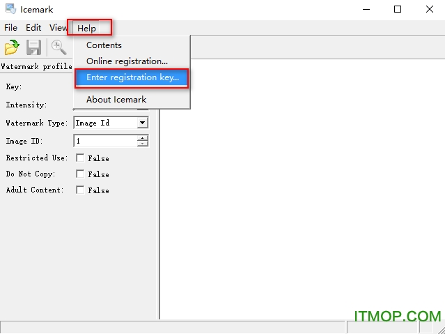 Icemark破解版下载