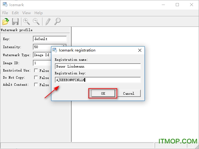 Icemark破解版下载