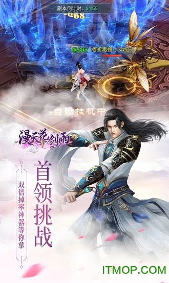 漫天花剑雨下载