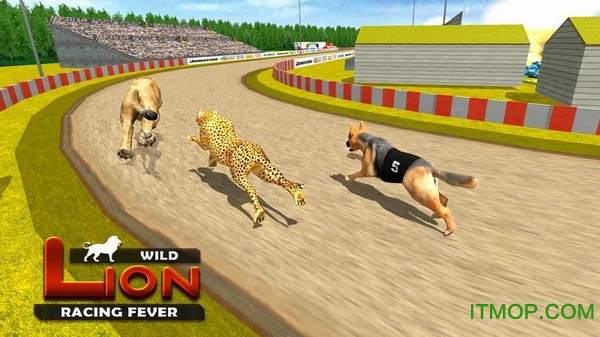 狮子王赛跑模拟器 狮子王赛跑模拟器