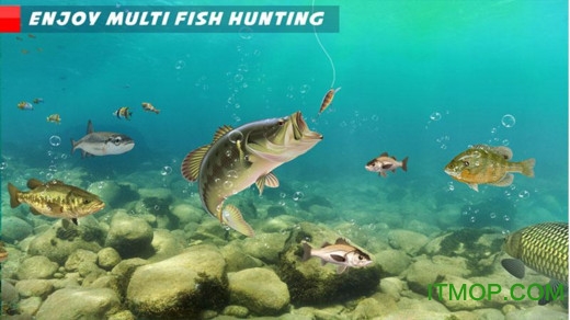 终极钓鱼狂热游戏