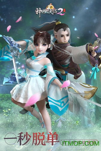 神雕侠侣2果盘版