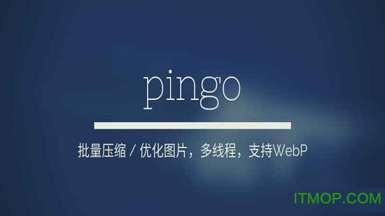 pingo下载